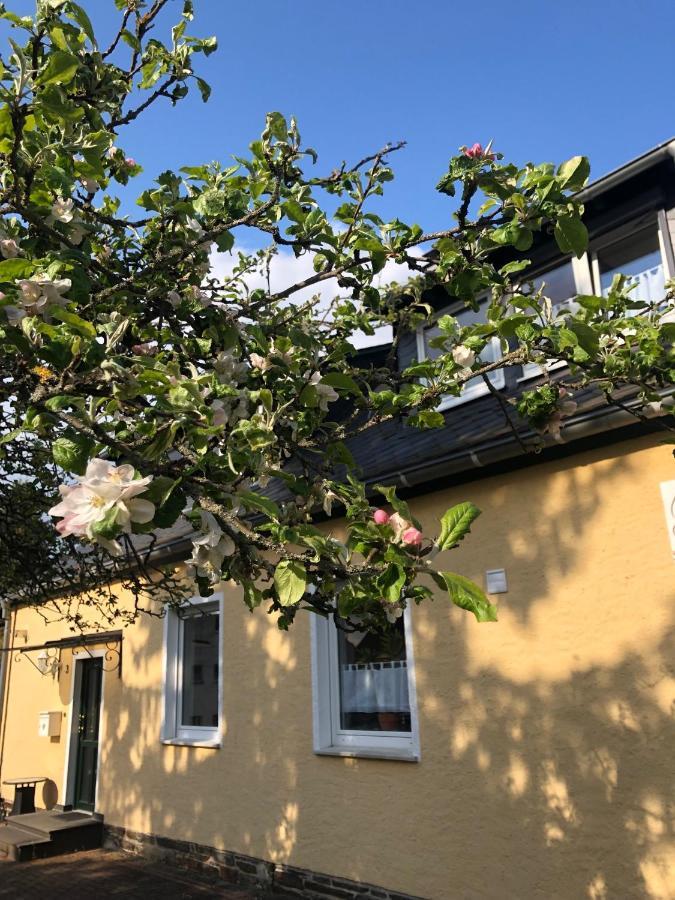 Am Apfelbaum, Ein Ferienhaus Zwischen Rhein Und Mosel 卡斯特劳恩 外观 照片