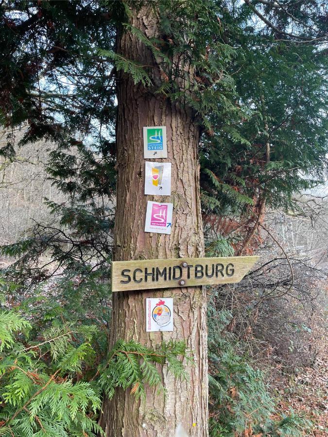 Am Apfelbaum, Ein Ferienhaus Zwischen Rhein Und Mosel 卡斯特劳恩 外观 照片