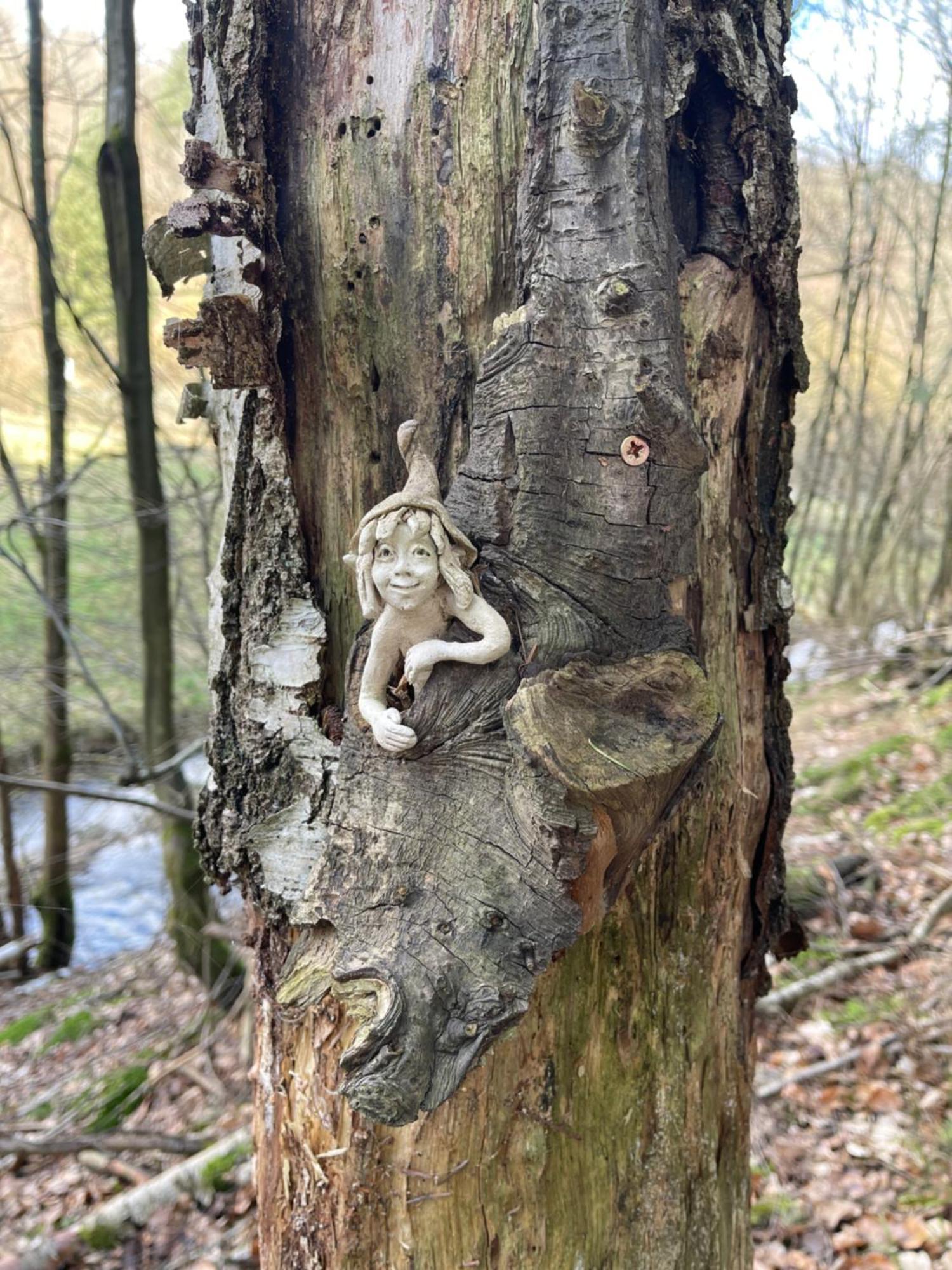 Am Apfelbaum, Ein Ferienhaus Zwischen Rhein Und Mosel 卡斯特劳恩 外观 照片