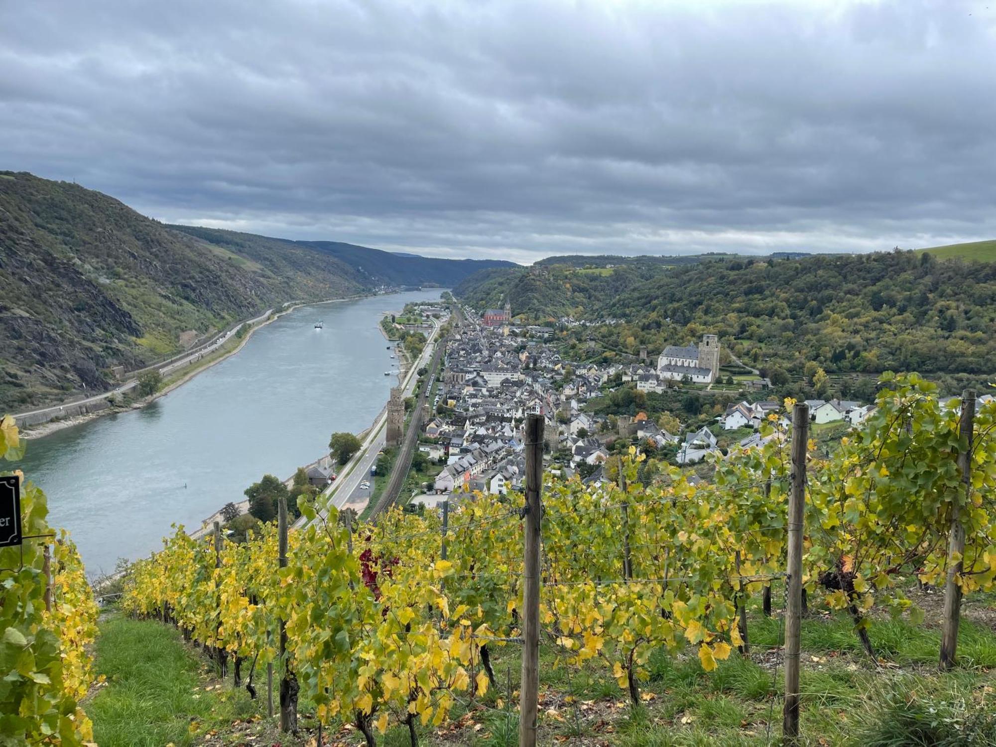 Am Apfelbaum, Ein Ferienhaus Zwischen Rhein Und Mosel 卡斯特劳恩 外观 照片