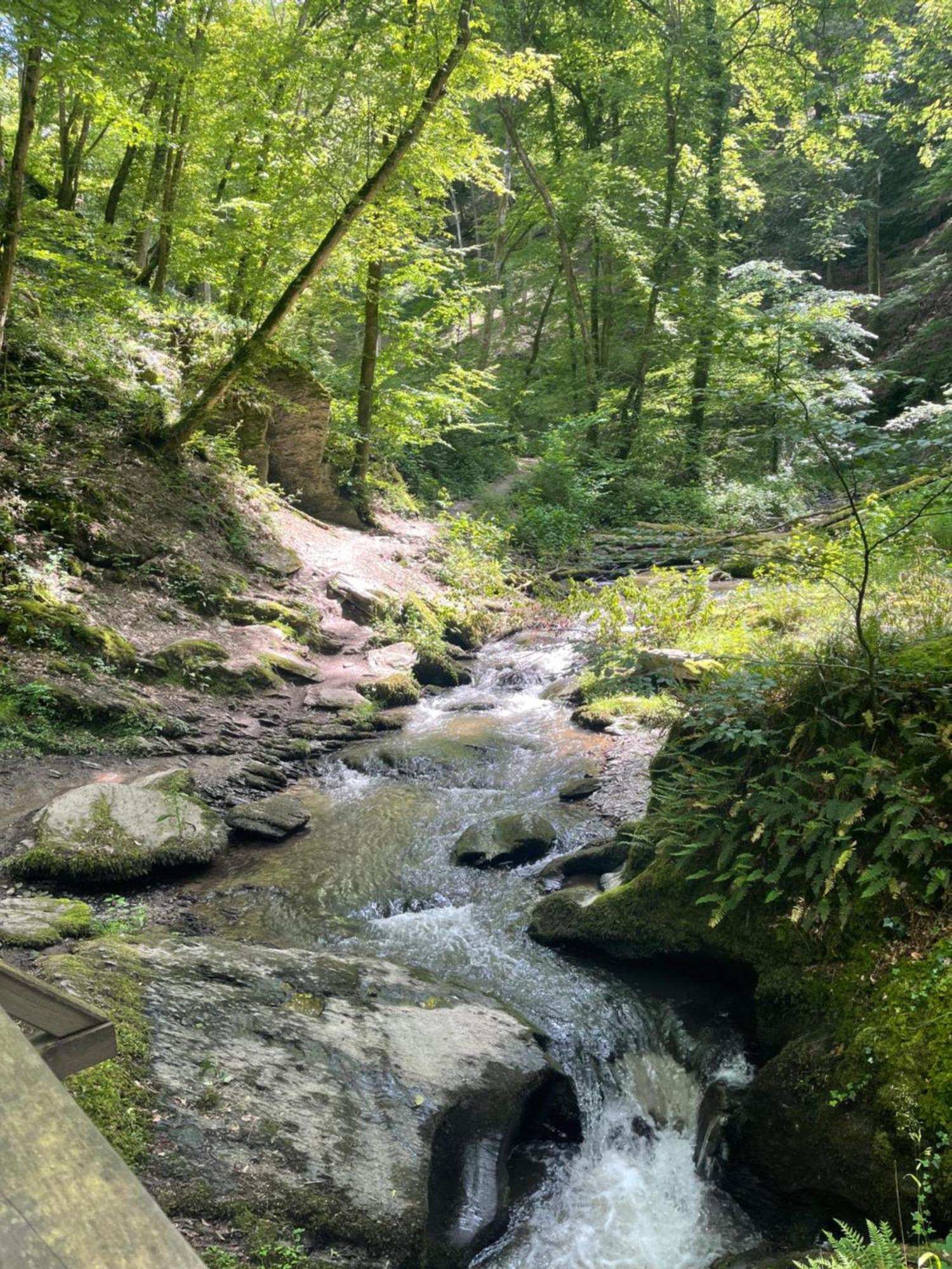 Am Apfelbaum, Ein Ferienhaus Zwischen Rhein Und Mosel 卡斯特劳恩 外观 照片