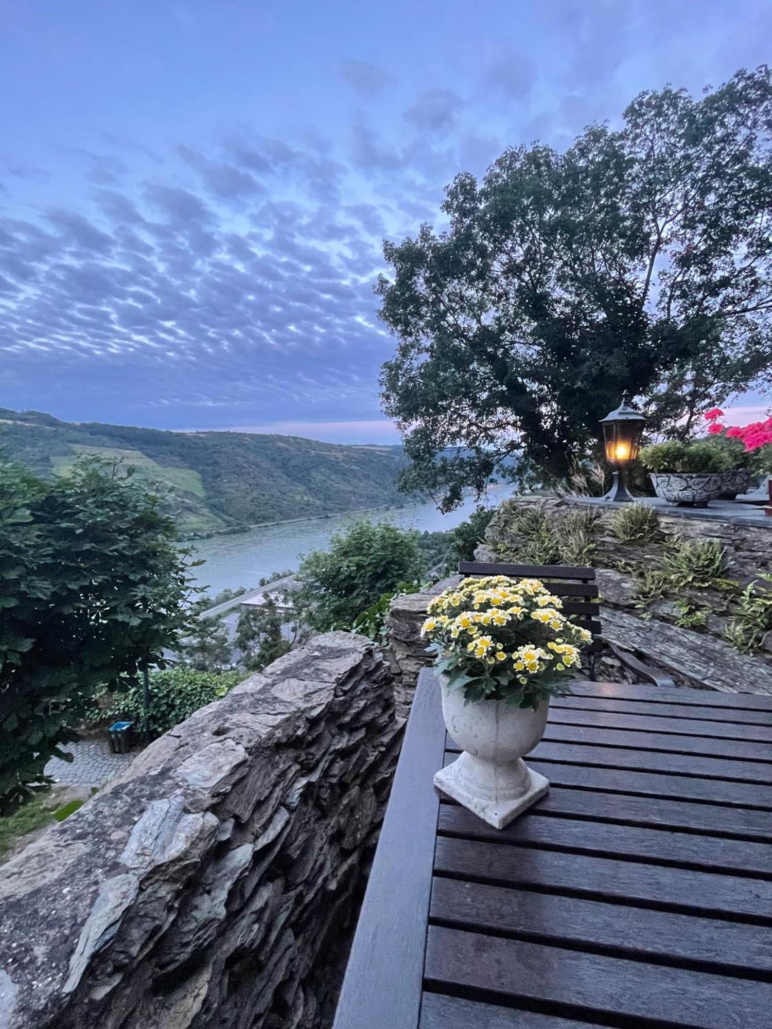 Am Apfelbaum, Ein Ferienhaus Zwischen Rhein Und Mosel 卡斯特劳恩 外观 照片