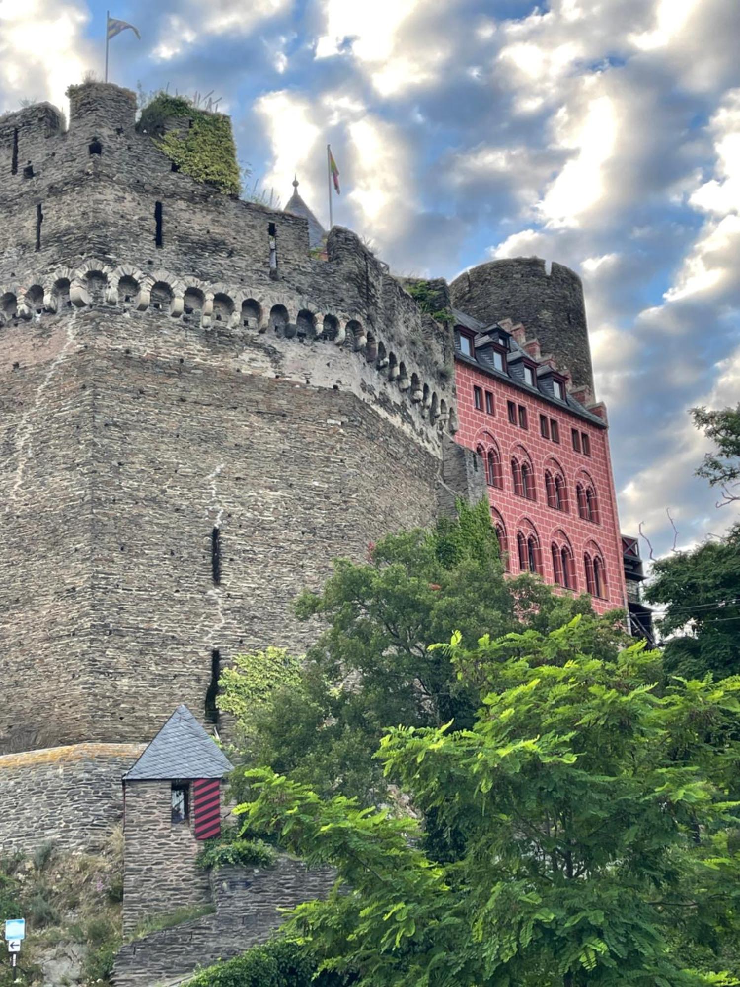 Am Apfelbaum, Ein Ferienhaus Zwischen Rhein Und Mosel 卡斯特劳恩 外观 照片